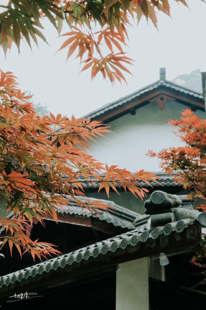关于拟注销四川省医药器械有限公司《药品经营许可证》的公示 川药监行注〔2024〕 号